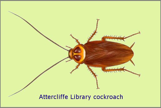 cockroaches